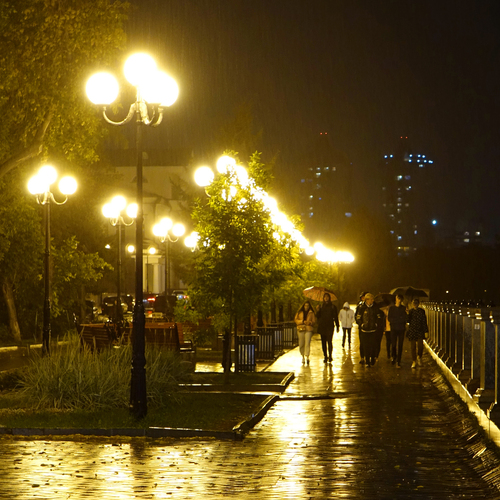 В  СВЕТЕ  ФОНАРЕЙ…