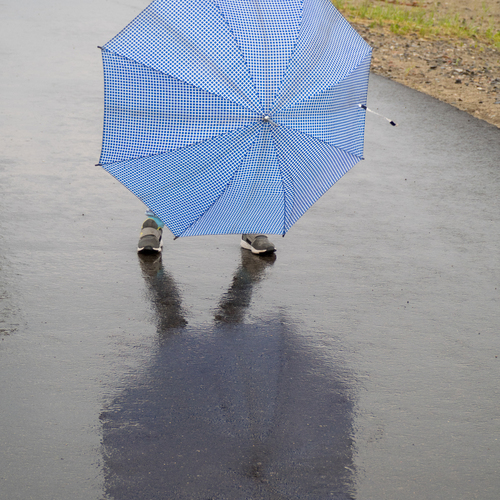 Photo #14220537