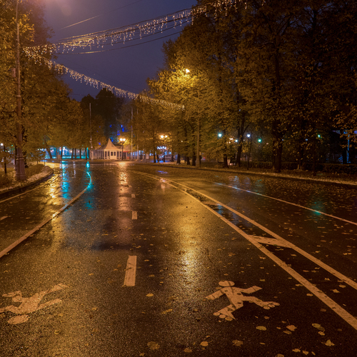 Photo #14220571