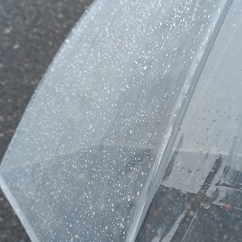 Photo #14220729