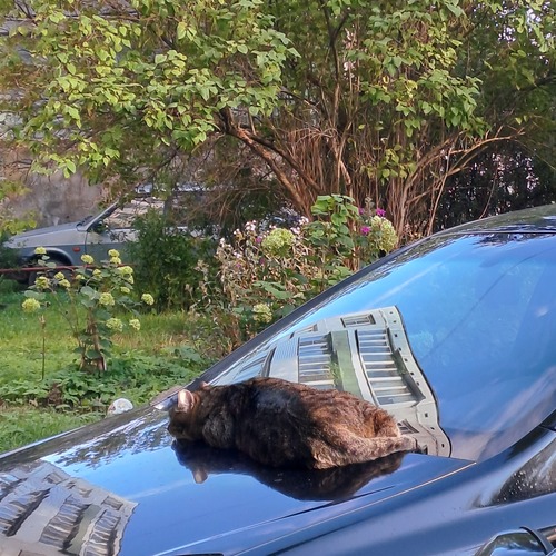 Photo #14220857