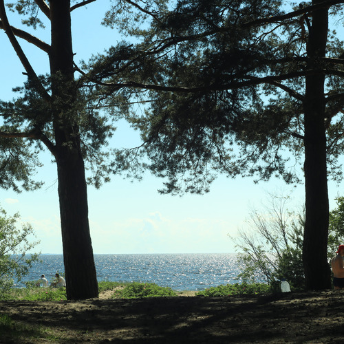 Photo #14220980