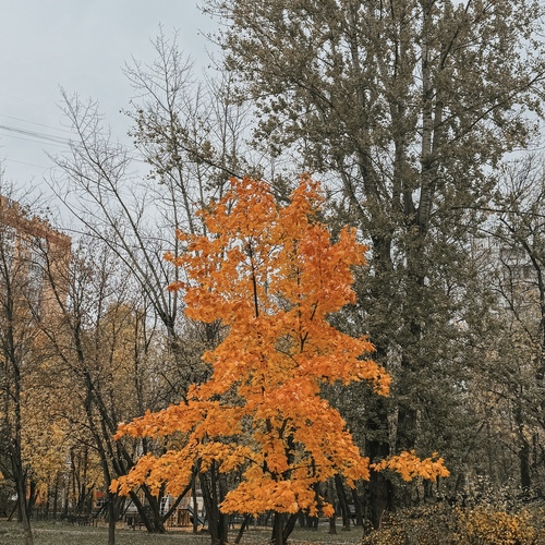 Photo #14221145