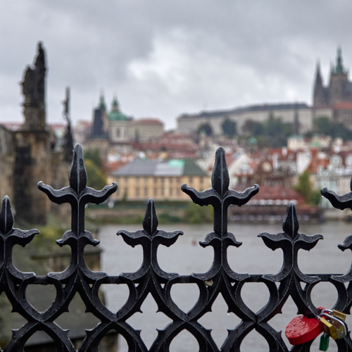 Photo #14221246