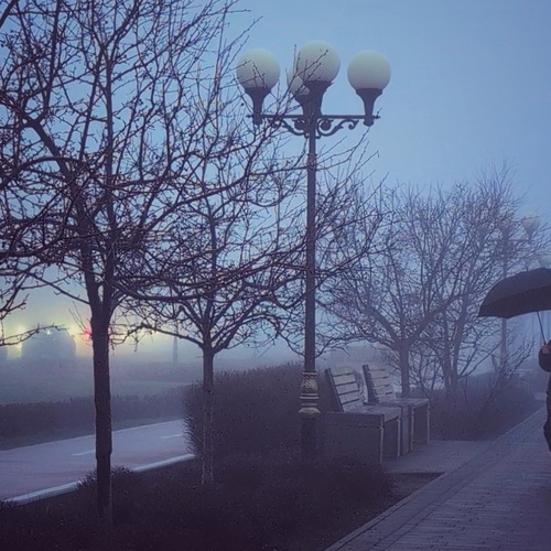 Photo #14221319