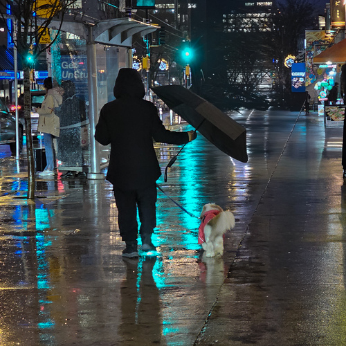 Photo #14221446