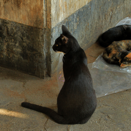 Photo #14221532
