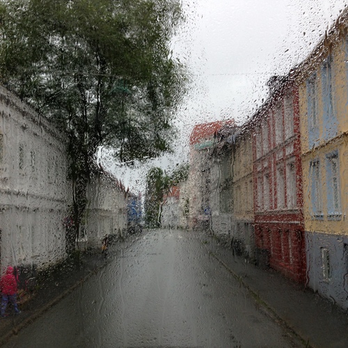Photo #14221533