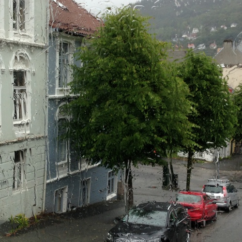 Photo #14221534