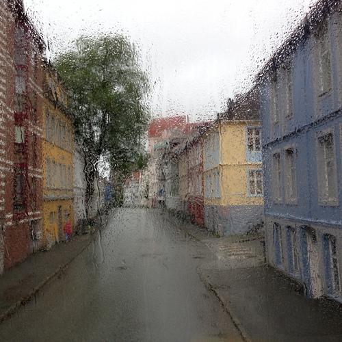 Photo #14221535