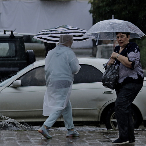 Photo #14221564