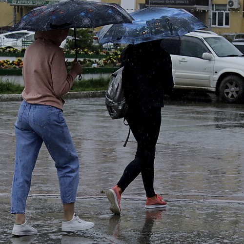Photo #14221570