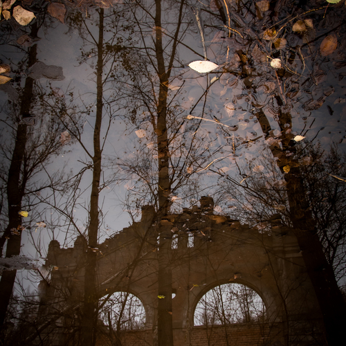 Photo #14221684