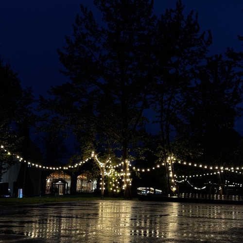 Photo #14221746