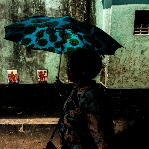 Photo #14221946