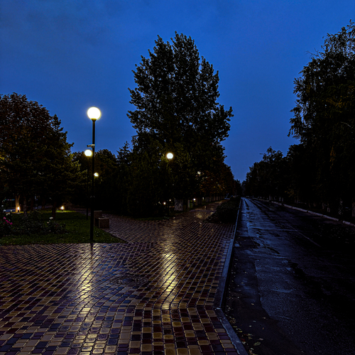 Photo #14221994