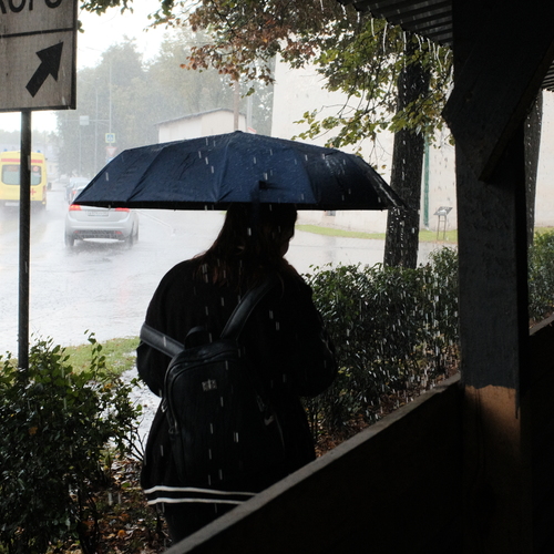Photo #14222254