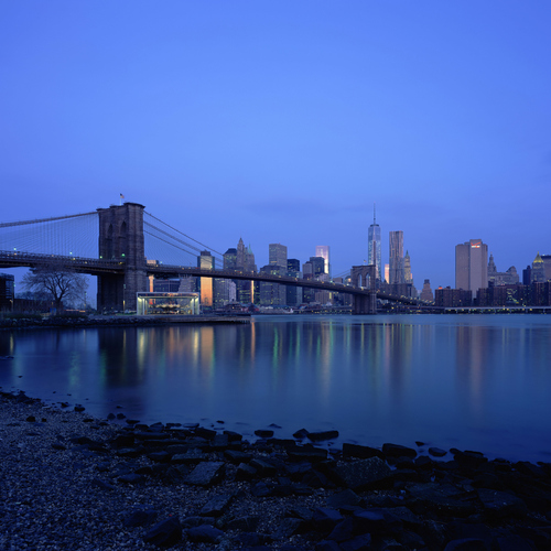 Photo #14222456