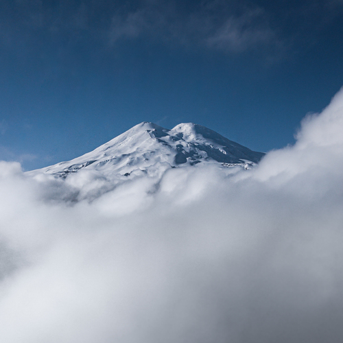 Photo #14222644