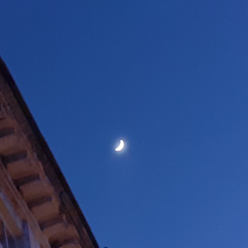 Photo #14222733