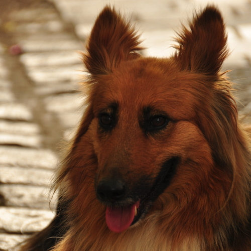 Photo #14223389