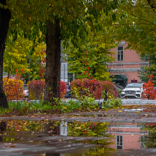 Photo #14223459
