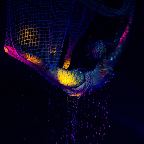 Photo #14223896