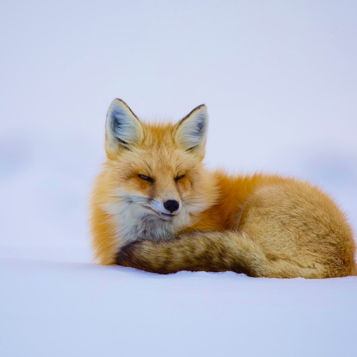 Photo #14223933