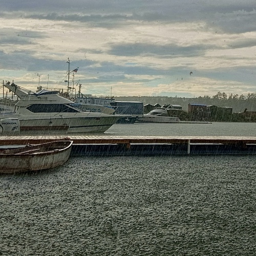 Photo #14223963