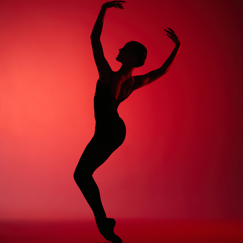Photo #14223995