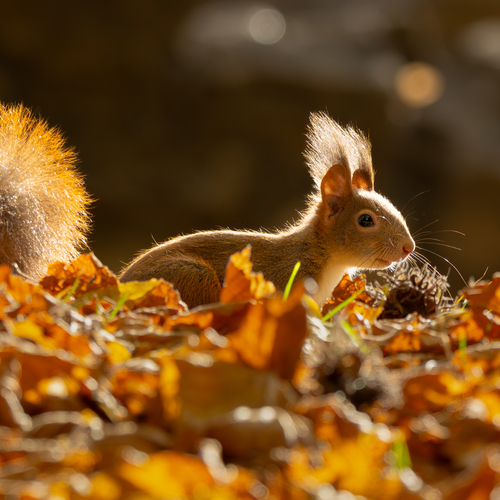 Photo #14224027
