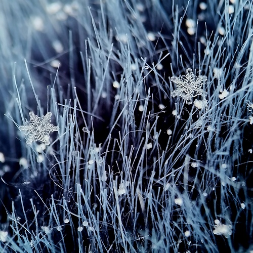 Photo #14224308