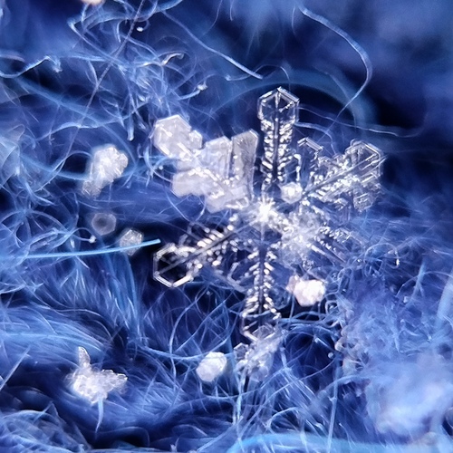 Photo #14224313
