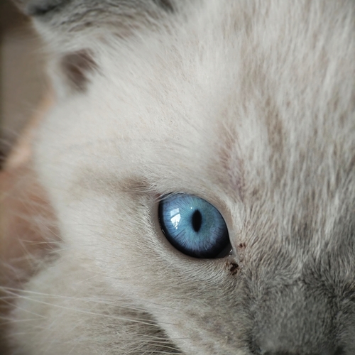 Photo #14224332