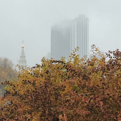 Photo #14224490