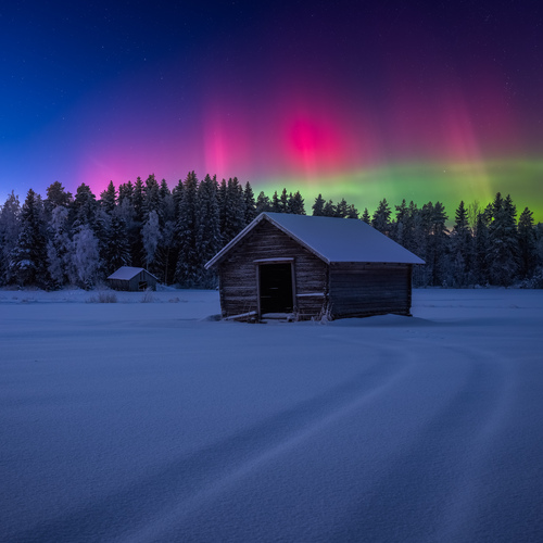 Photo #14224732