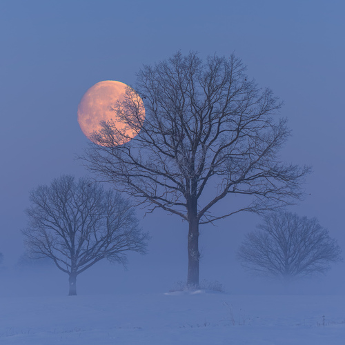 Photo #14224733