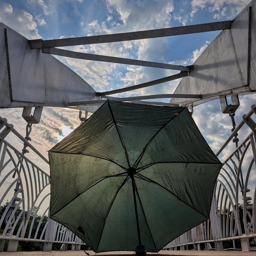 Arachne on the Bridge