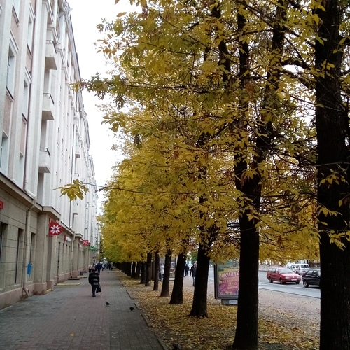 Photo #14224866