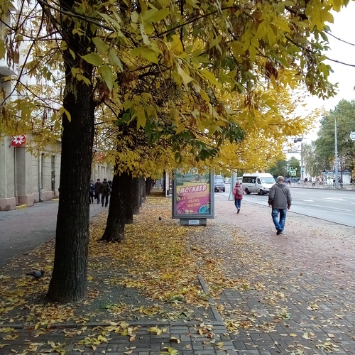 Photo #14224867