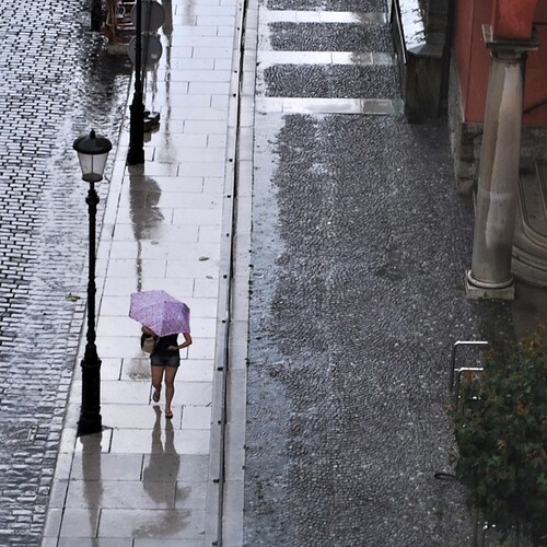 Photo #14224981