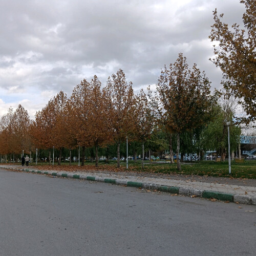 Photo #14225035