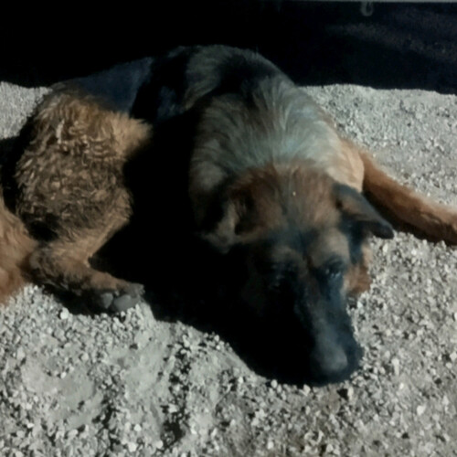 Photo #14225090