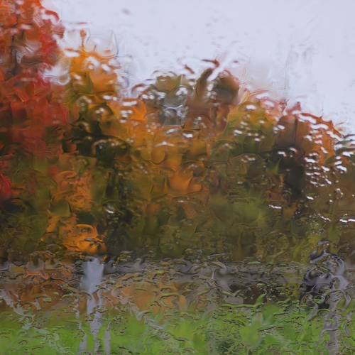 Photo #14225173