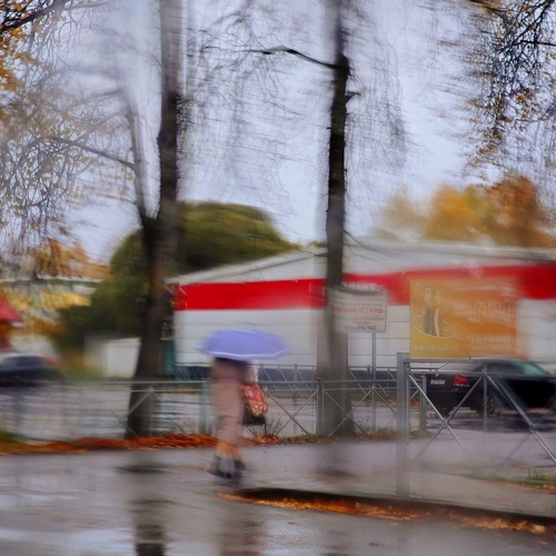 Photo #14225174