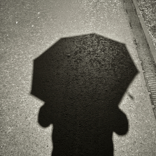 Photo #14225406