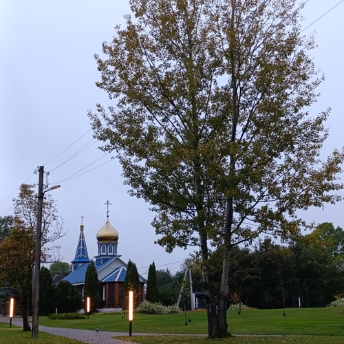 Photo #14225876