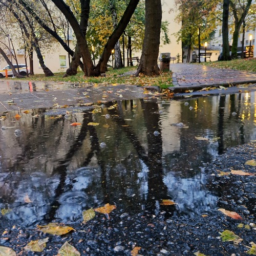 Photo #14225938