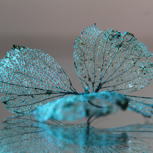 Photo #14226038