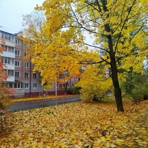 Photo #14226125